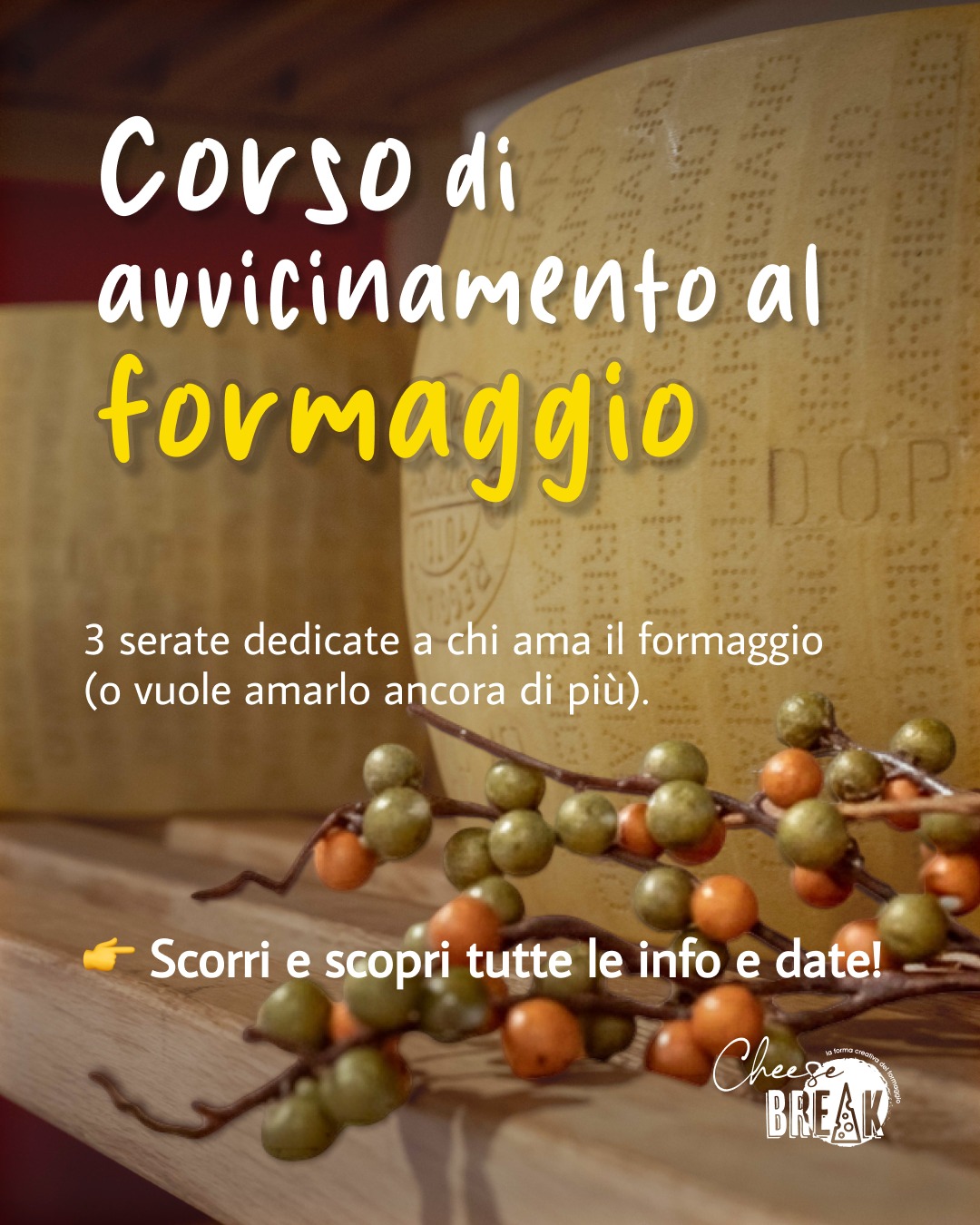 CHEESE TASTING & DISCOVERY COURSE